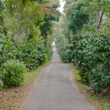 Belvilla The School Estate- Luxury Heritage Home In 200 Acres Madikeri Exteriör bild